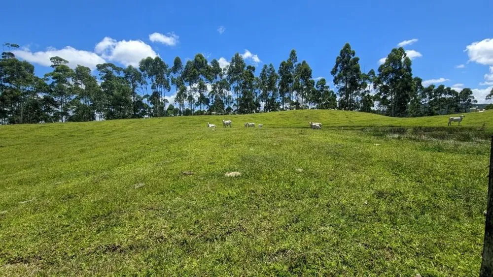 Sítio, 2 quartos, 30 hectares - Foto 11