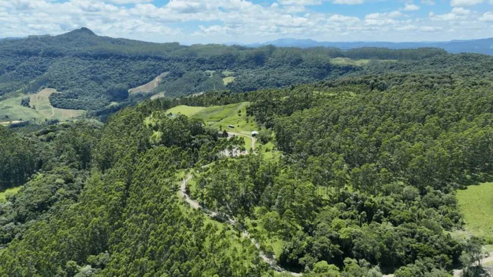 Sítio, 2 quartos, 30 hectares - Foto 7