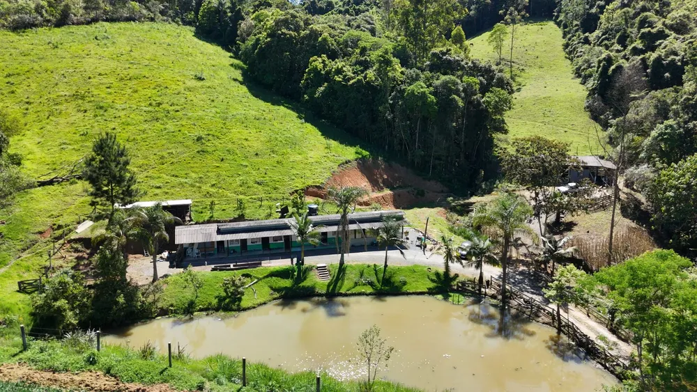 Sítio, 5 quartos, 4 hectares - Foto 12