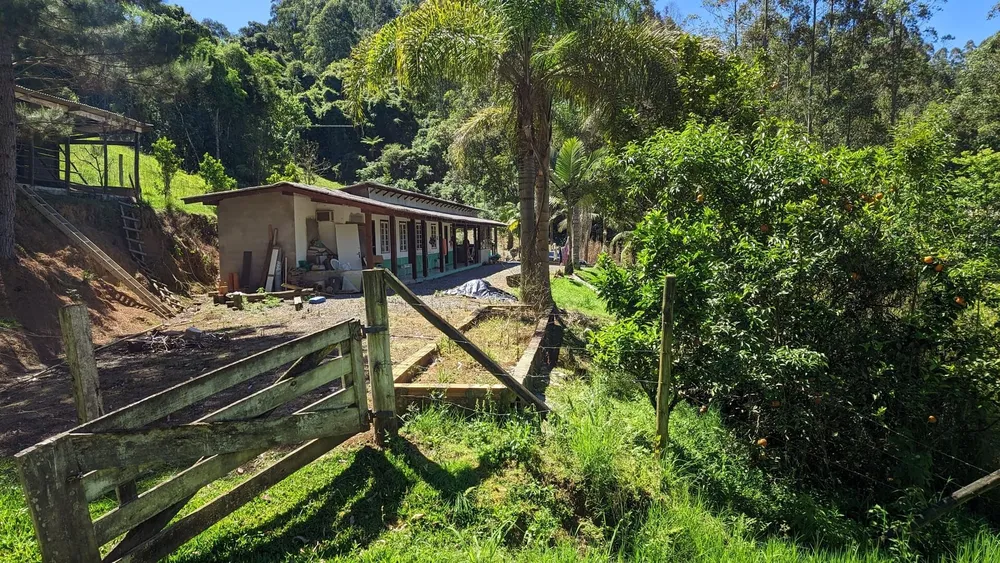 Sítio, 5 quartos, 4 hectares - Foto 15