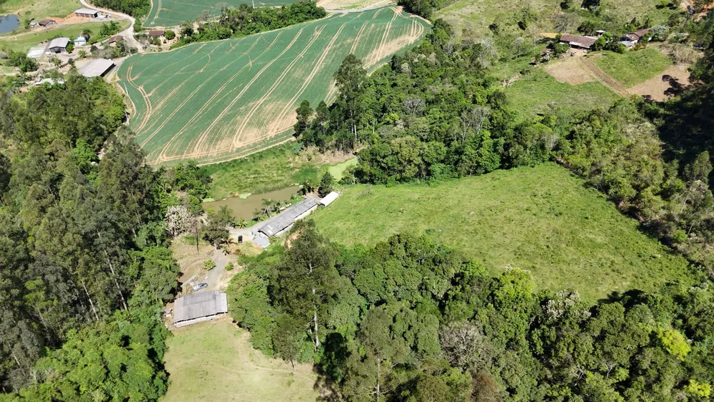 Sítio, 5 quartos, 4 hectares - Foto 9