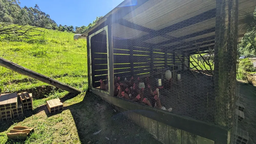 Sítio, 5 quartos, 4 hectares - Foto 6