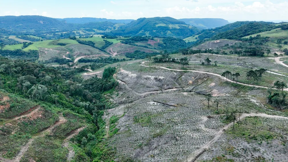 Fazenda, 359 hectares - Foto 3