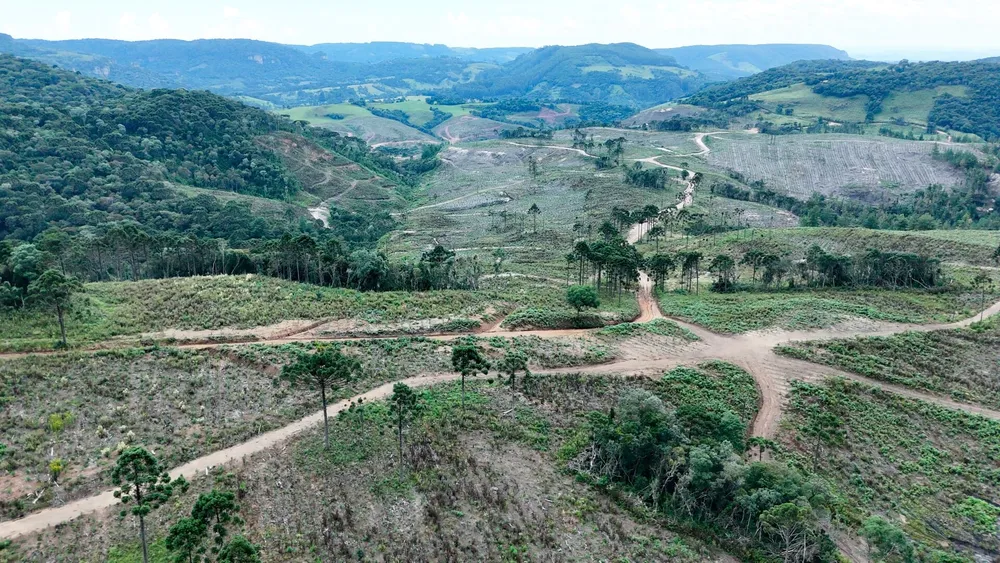 Fazenda, 359 hectares - Foto 1