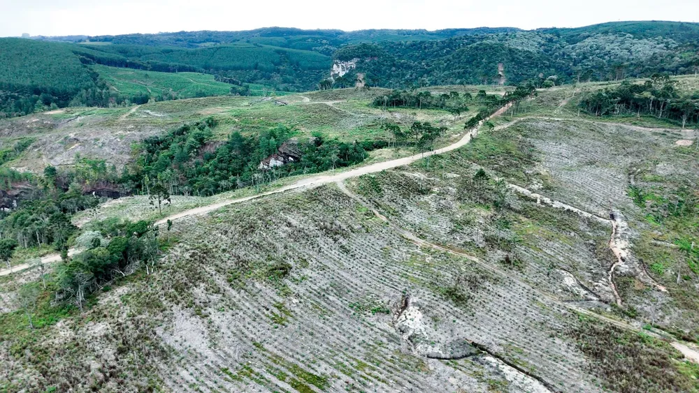 Fazenda, 359 hectares - Foto 2