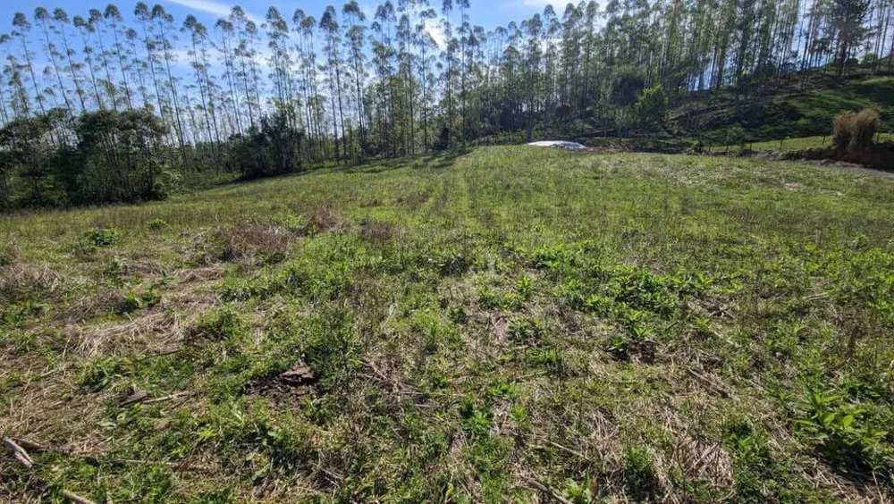 Terreno, 5 hectares - Foto 10