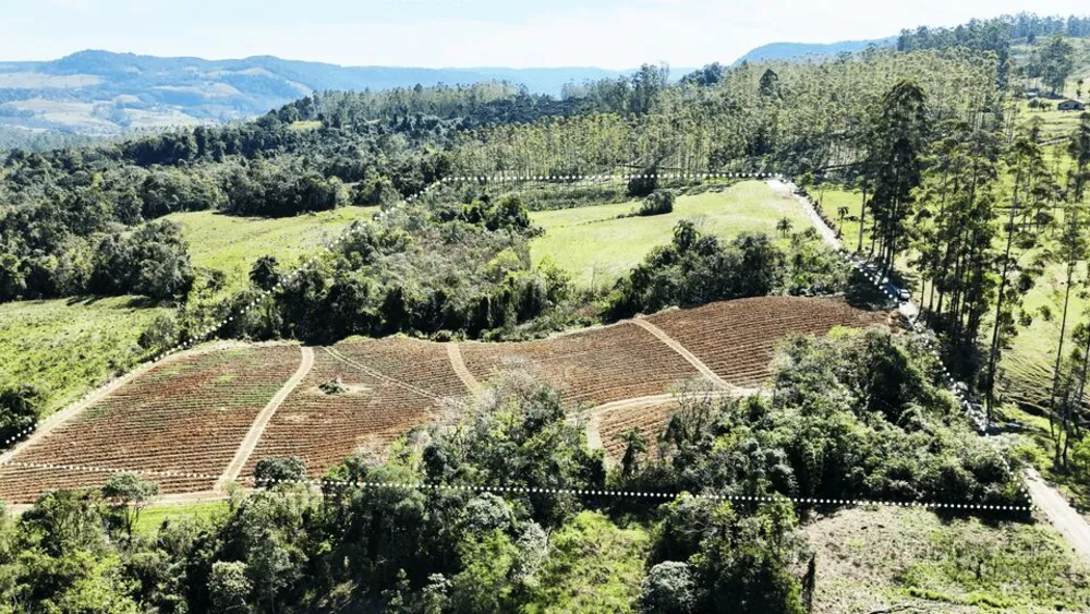 Terreno, 5 hectares - Foto 16