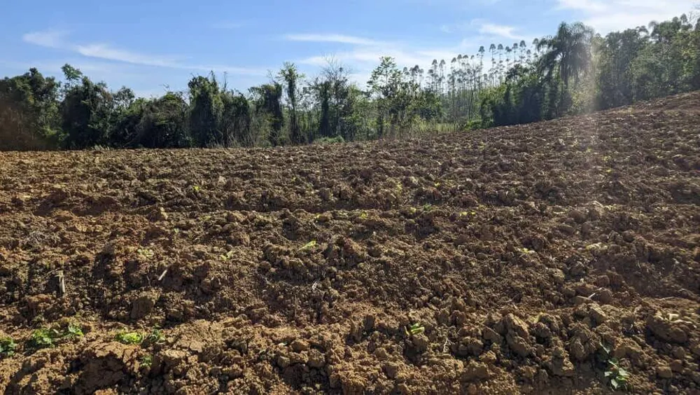 Terreno, 5 hectares - Foto 2