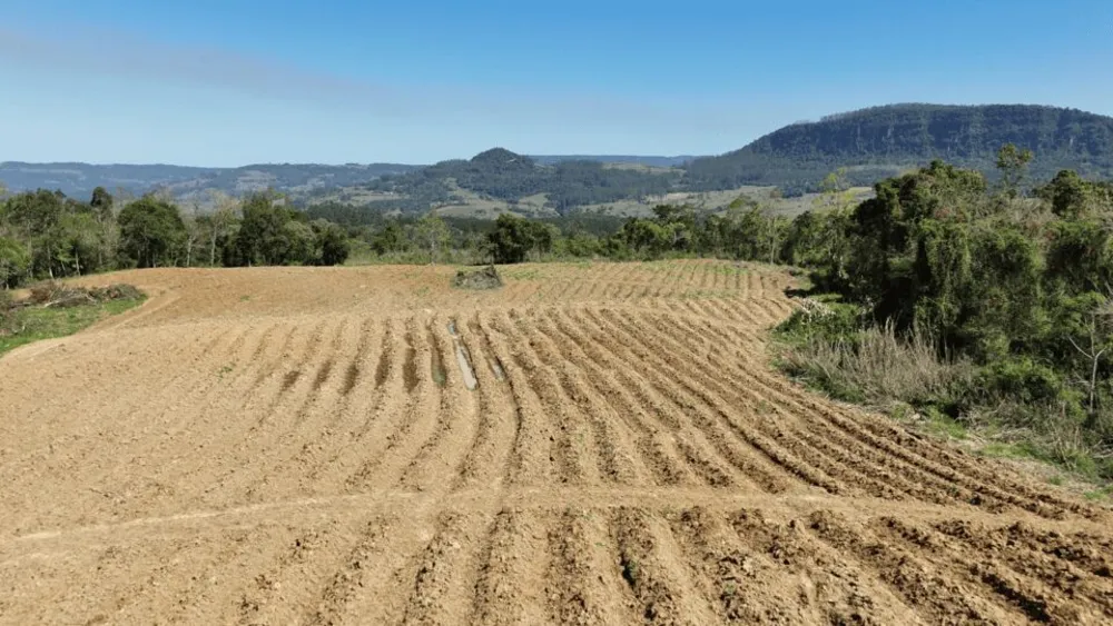 Terreno, 5 hectares - Foto 15