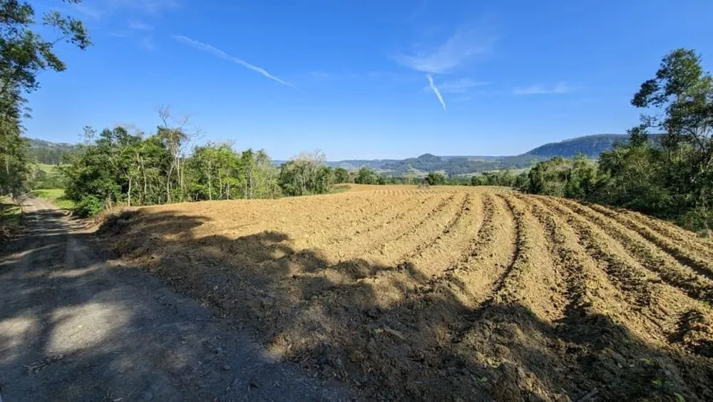 Terreno, 5 hectares - Foto 6