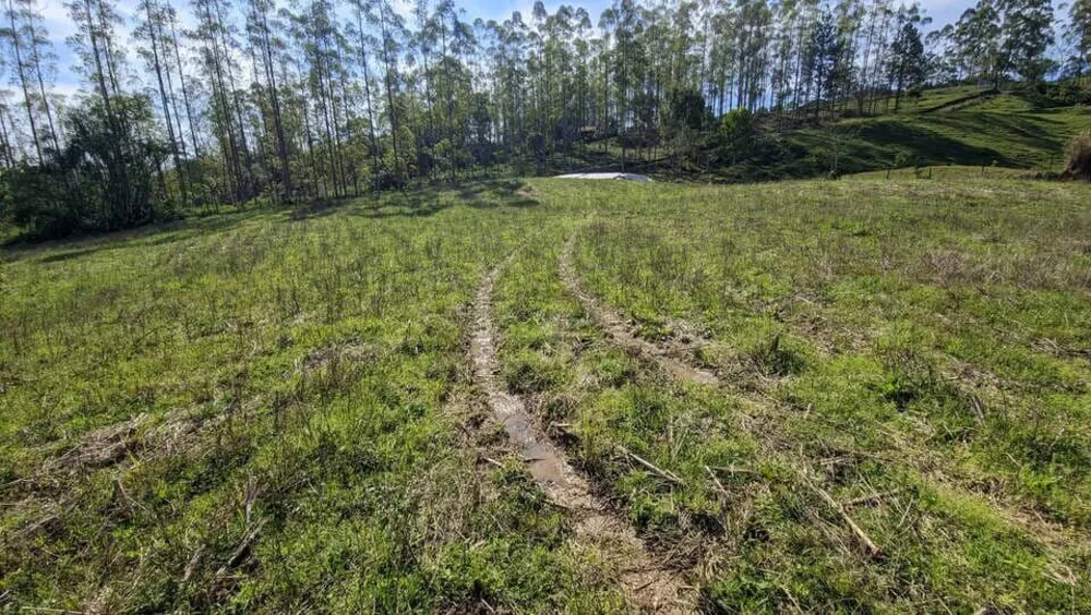 Terreno, 5 hectares - Foto 4