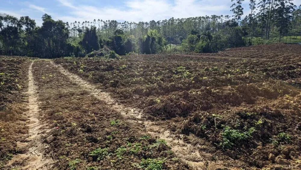 Terreno, 5 hectares - Foto 7