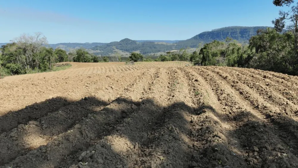 Terreno, 5 hectares - Foto 8