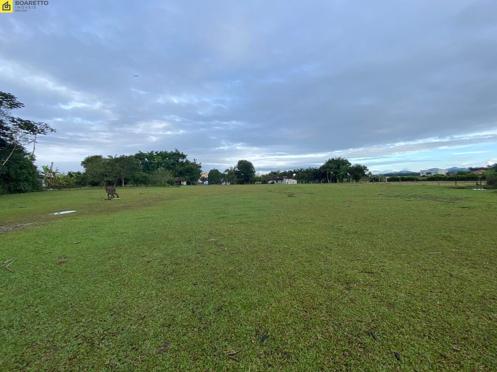 Terreno, 2 hectares - Foto 3