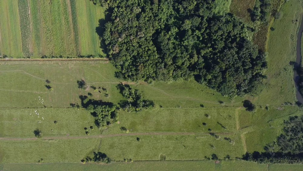 Terreno, 10 hectares - Foto 4
