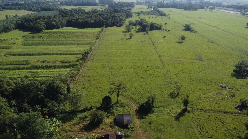 Terreno, 10 hectares - Foto 8