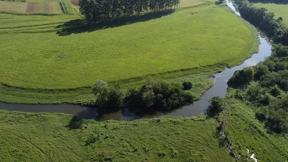 Terreno, 10 hectares - Foto 6
