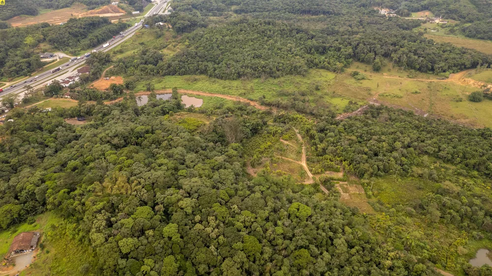 Terreno, 25 hectares - Foto 3