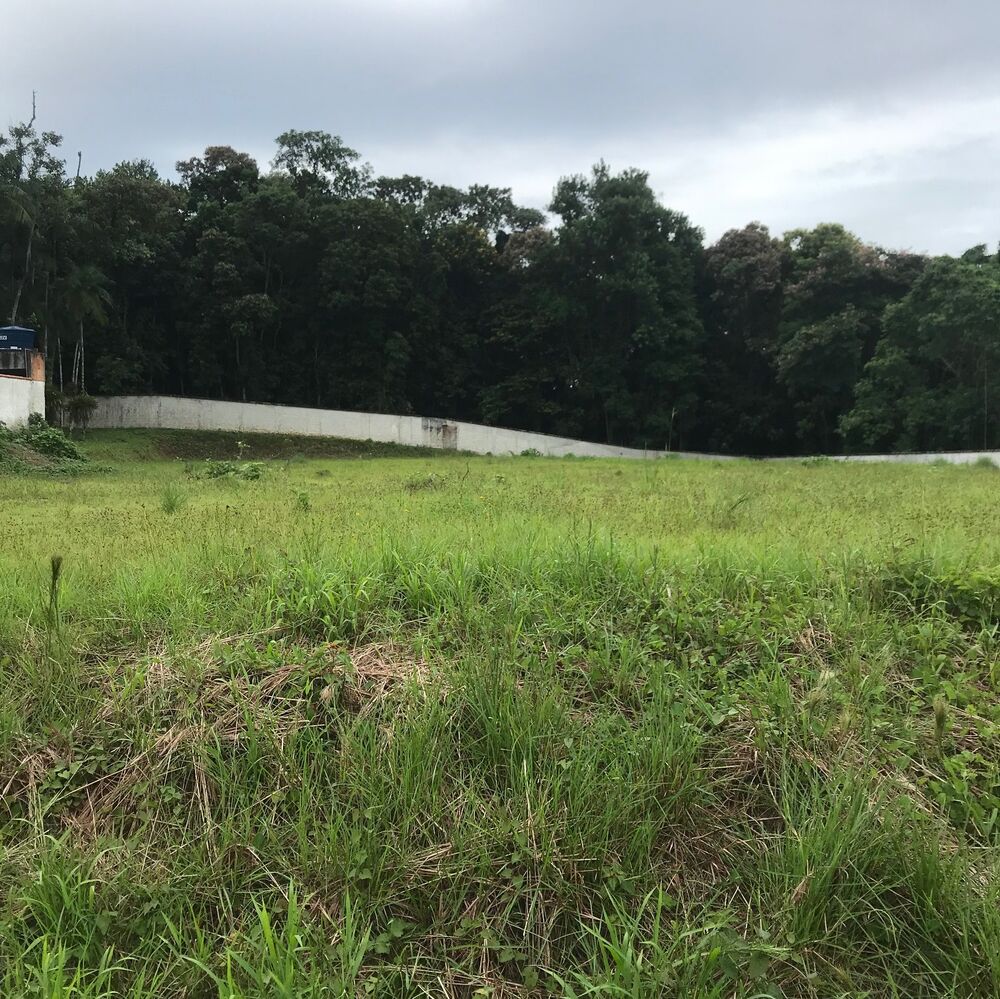 Terreno, 7276 m² - Foto 2