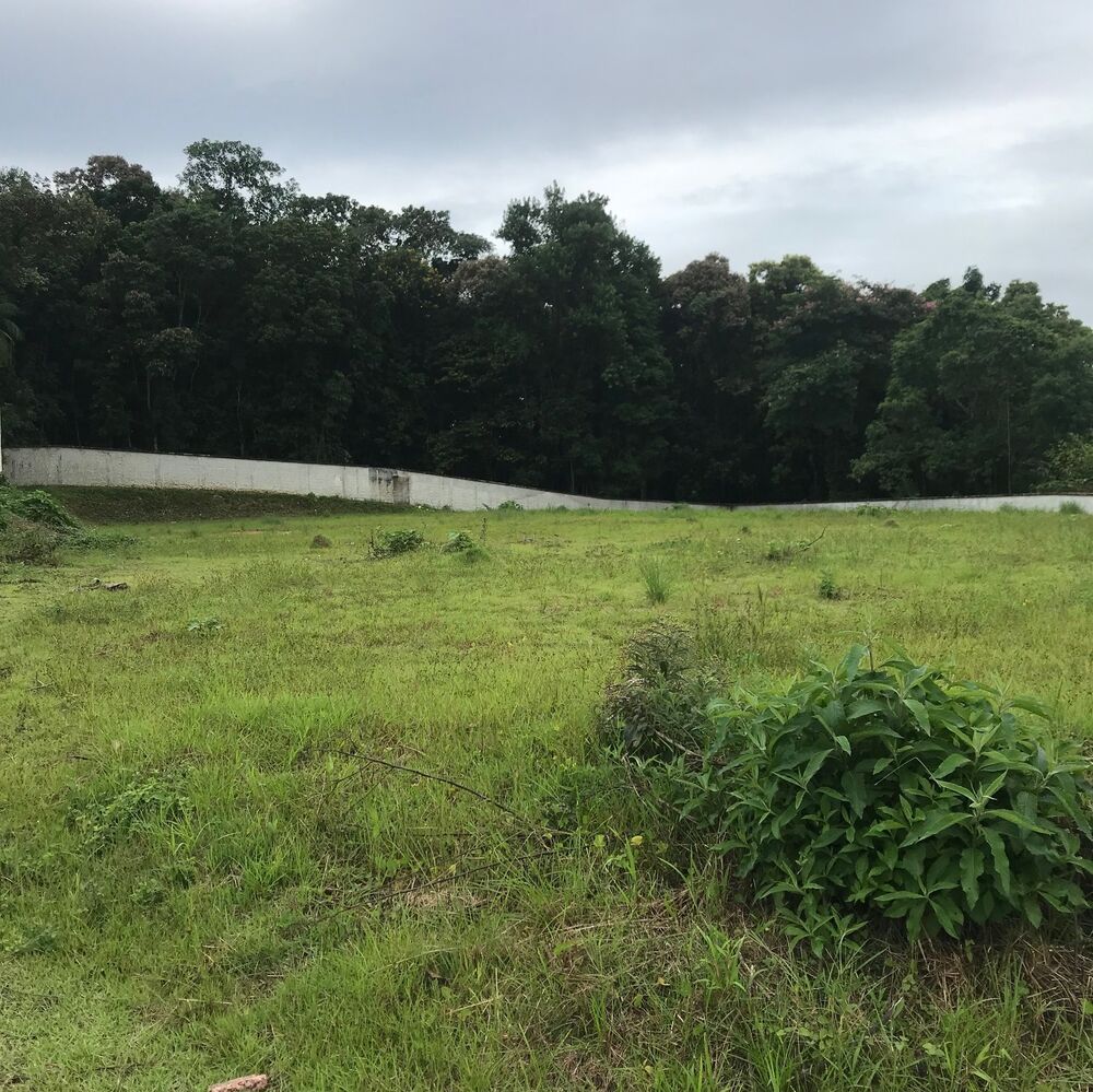 Terreno, 7276 m² - Foto 3