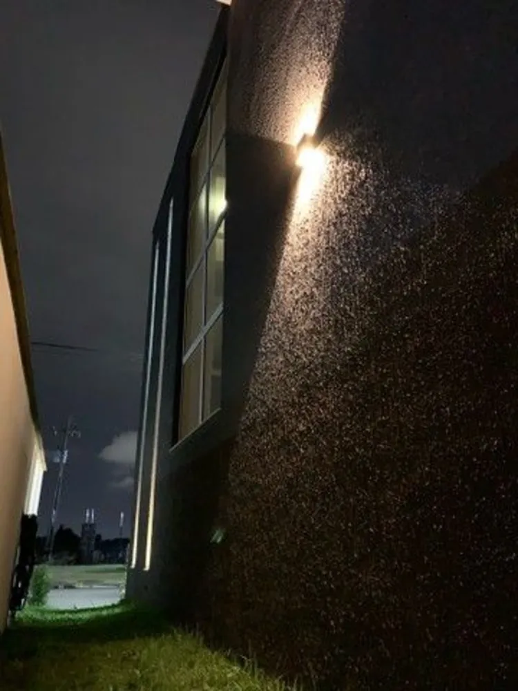 Casa, 3 quartos, 155 m² - Foto 2