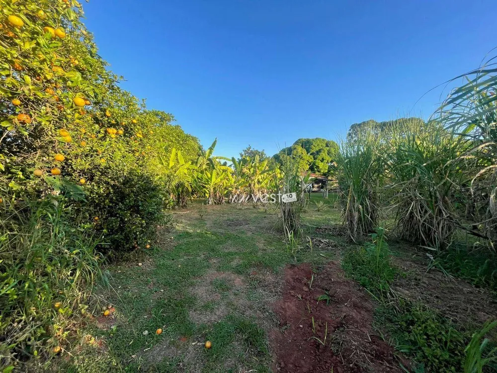Chácara, 4 quartos, 3 hectares - Foto 14