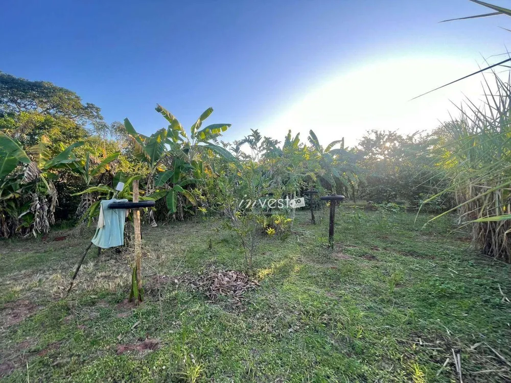 Chácara, 4 quartos, 3 hectares - Foto 3