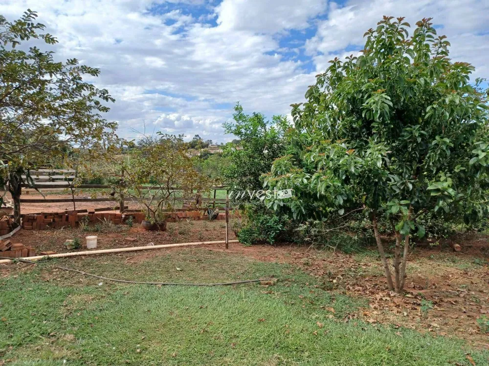 Terreno, 10000 m² - Foto 6