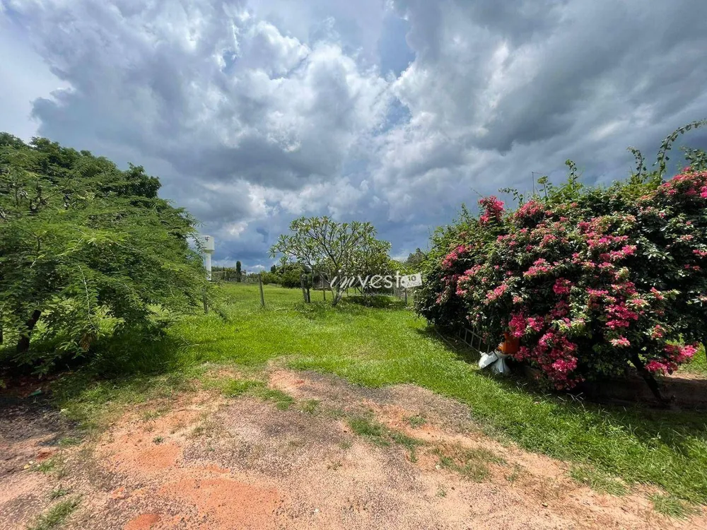 Terreno, 47 hectares - Foto 3