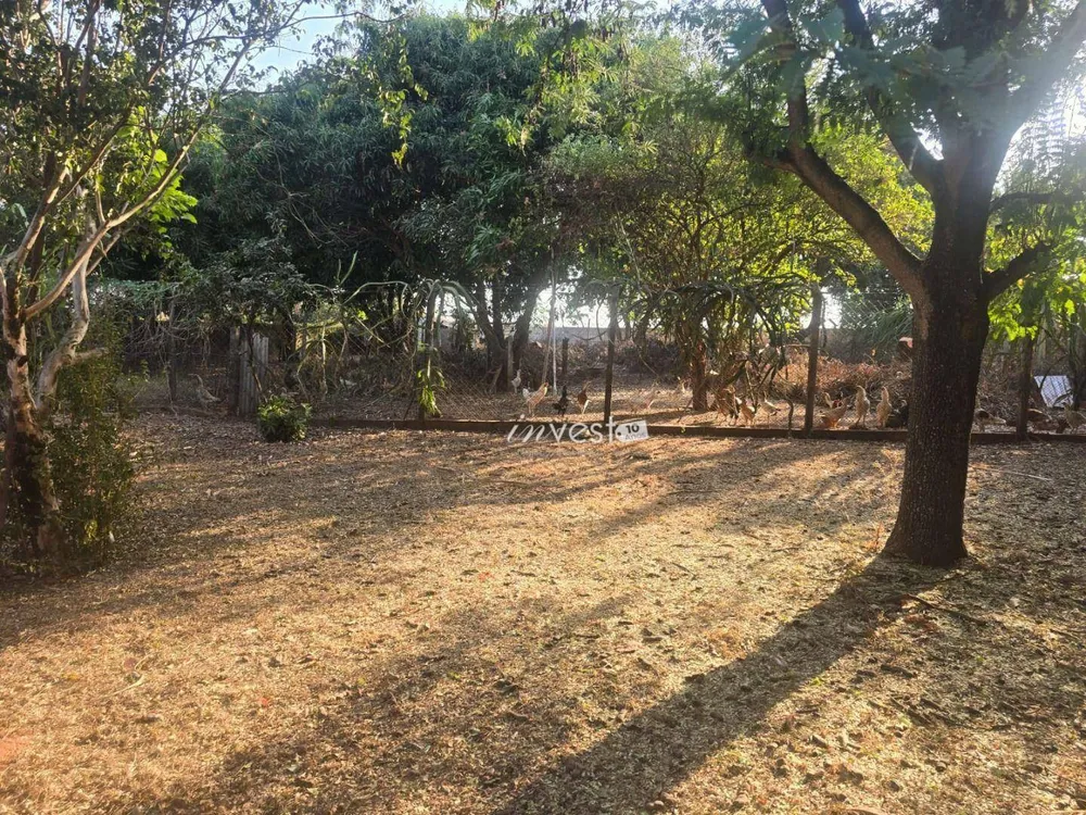 Chácara, 3 quartos, 5000 m² - Foto 9