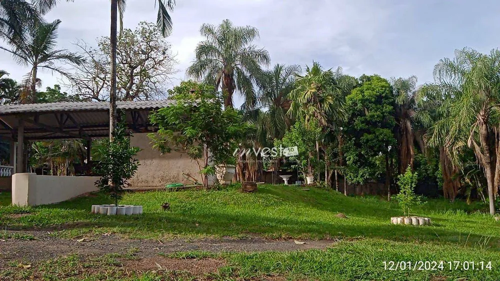 Chácara, 3 quartos, 6000 m² - Foto 5