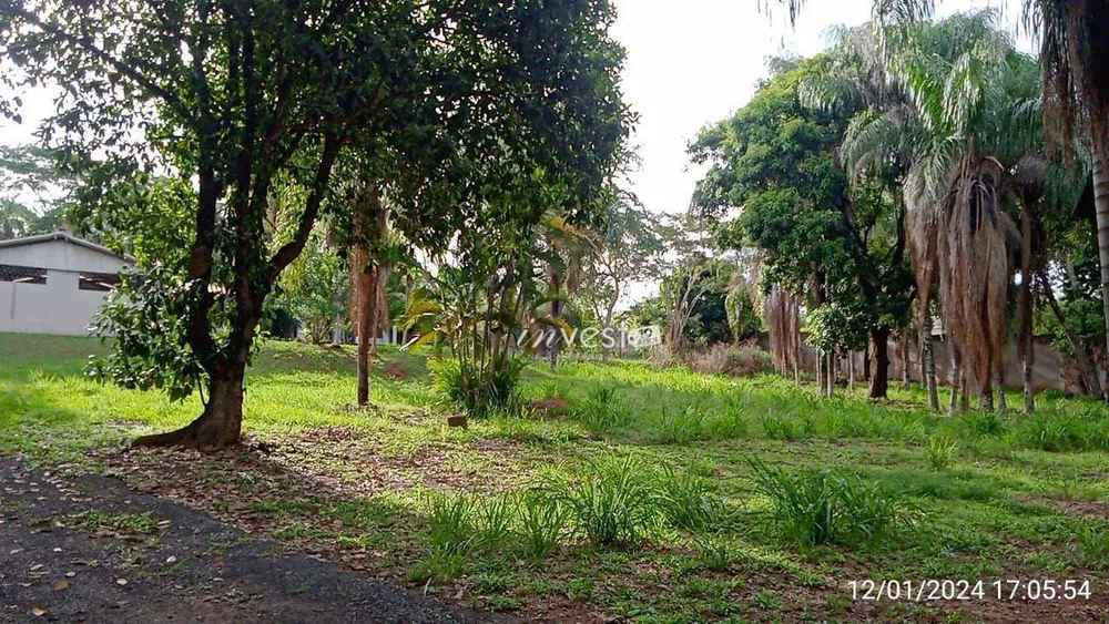 Chácara, 3 quartos, 6000 m² - Foto 8