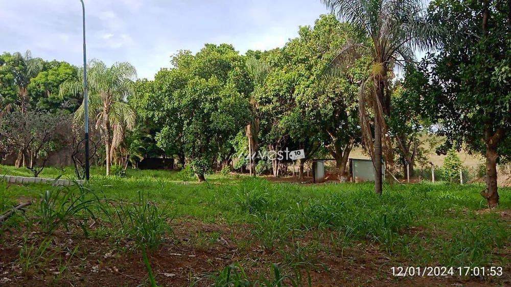 Chácara, 3 quartos, 6000 m² - Foto 6