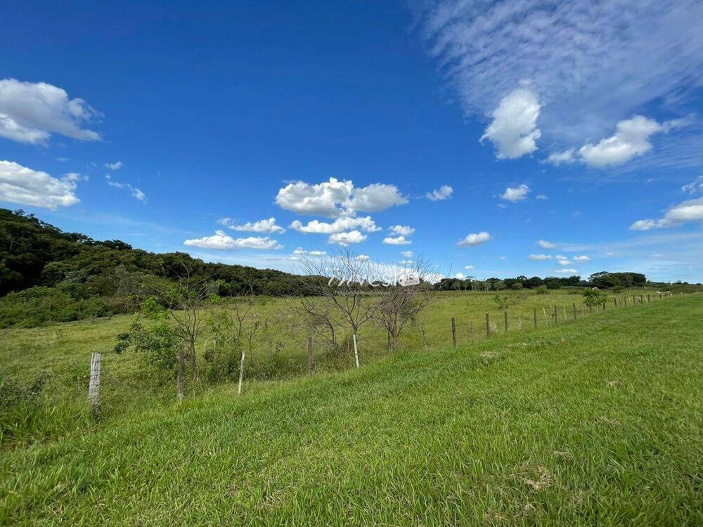 Terreno, 3 hectares - Foto 7