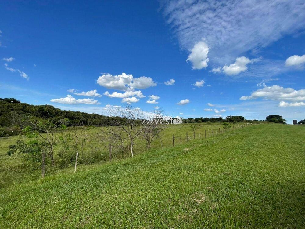 Terreno, 3 hectares - Foto 8