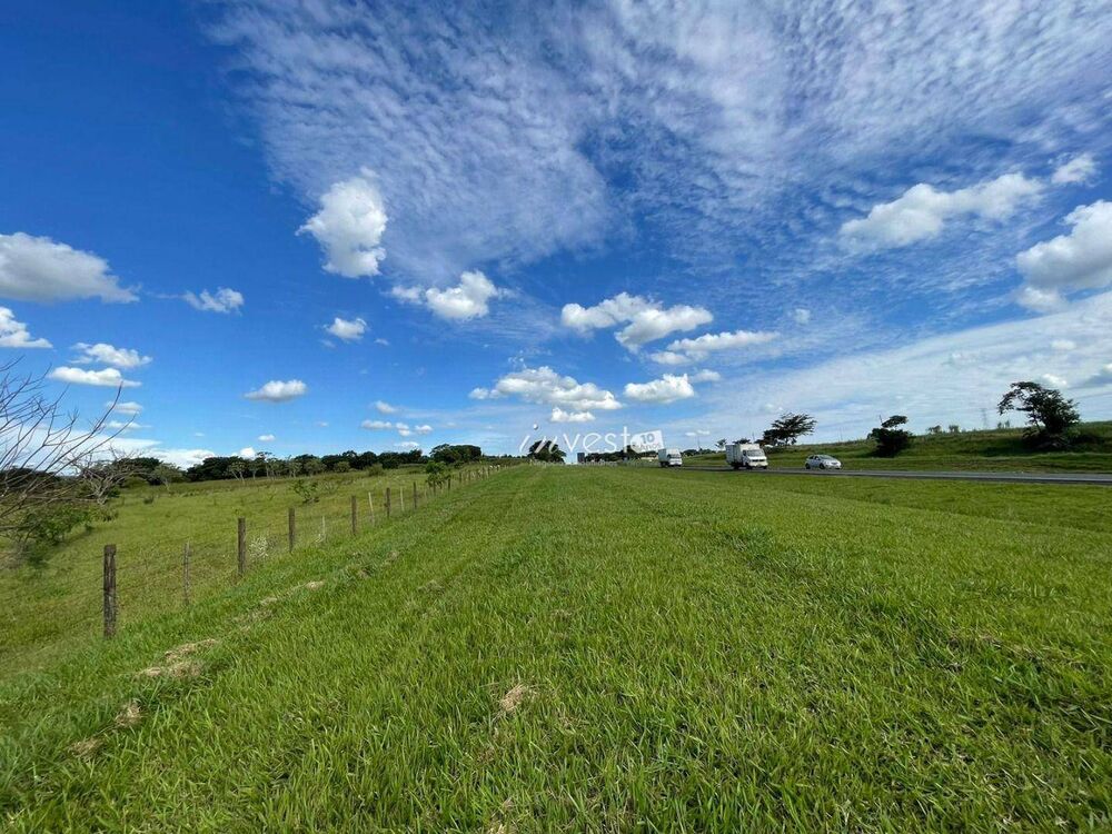Terreno, 3 hectares - Foto 6