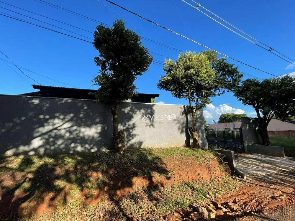 Chácara à venda com 2 quartos, 1000M2 - Foto 4