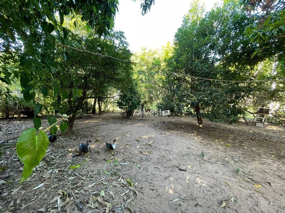 Chácara, 4 quartos, 2 hectares - Foto 7