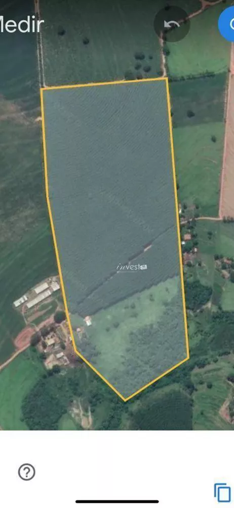 Terreno, 31 hectares - Foto 4