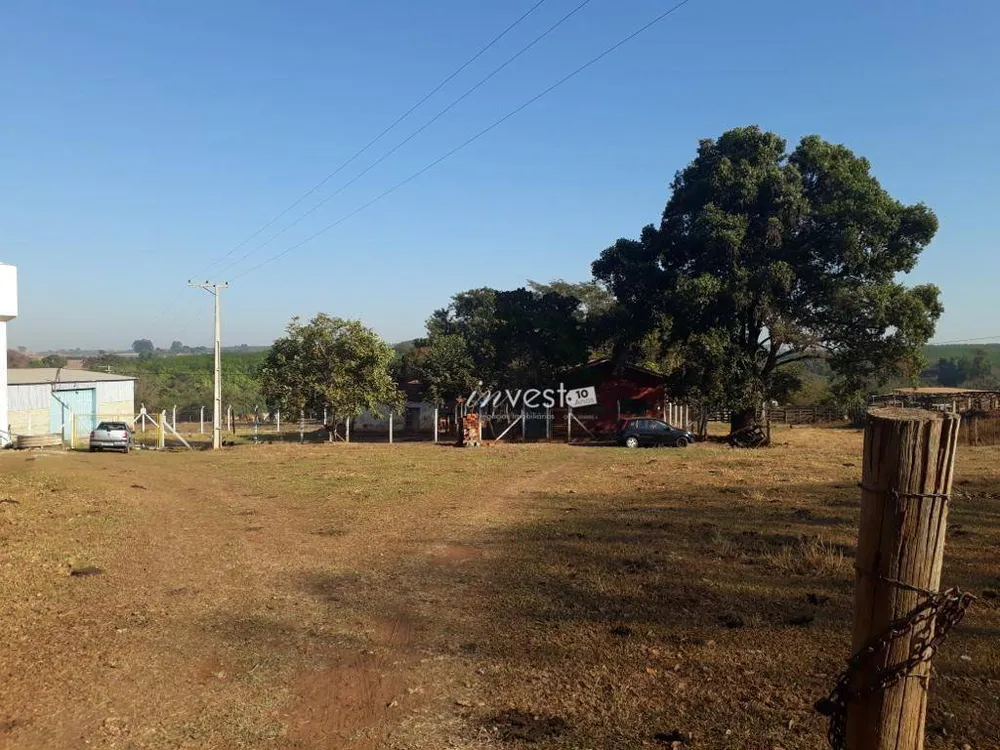 Terreno, 31 hectares - Foto 3