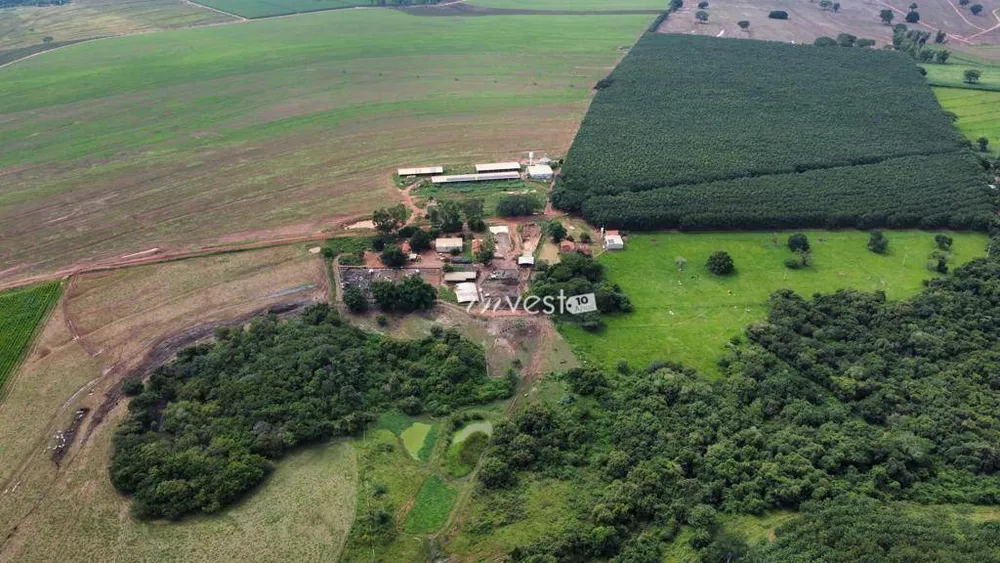 Terreno, 31 hectares - Foto 3