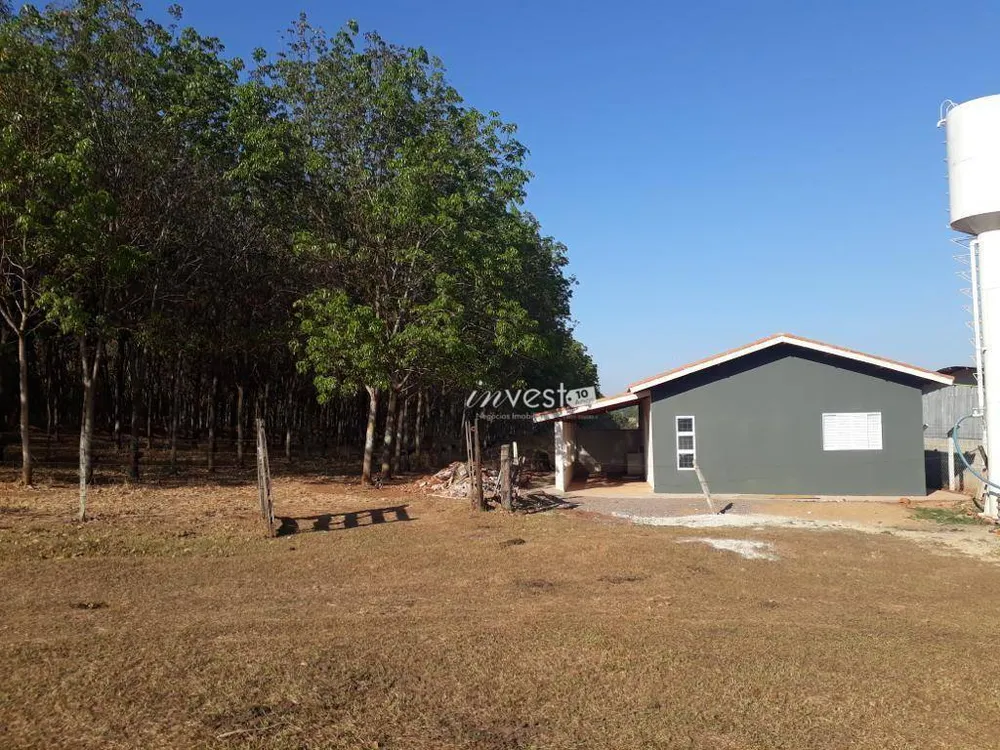 Terreno, 31 hectares - Foto 4
