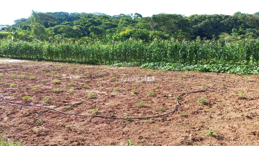 Chácara, 1 quarto, 5800 m² - Foto 4