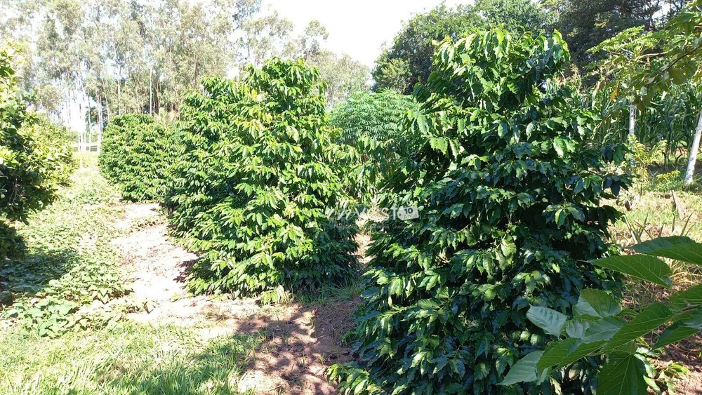 Chácara, 1 quarto, 5800 m² - Foto 10
