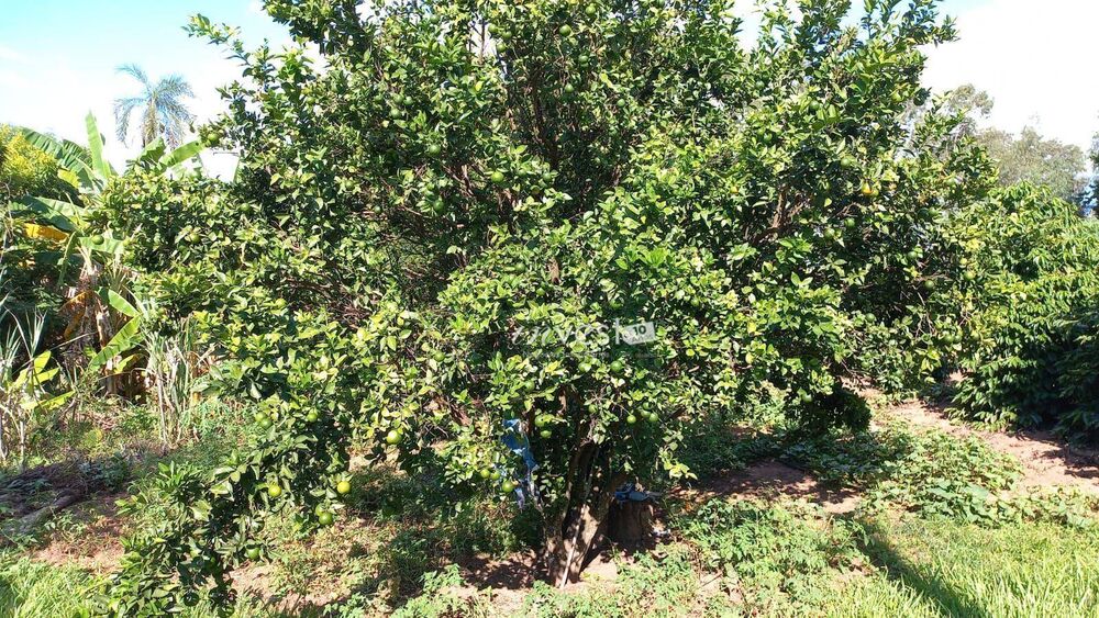 Chácara, 1 quarto, 5800 m² - Foto 1