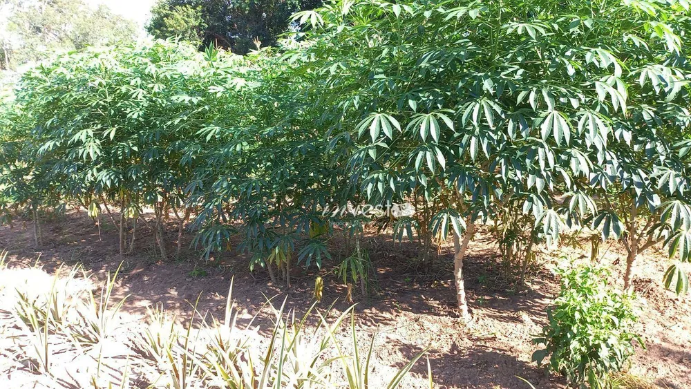 Chácara, 1 quarto, 5800 m² - Foto 12