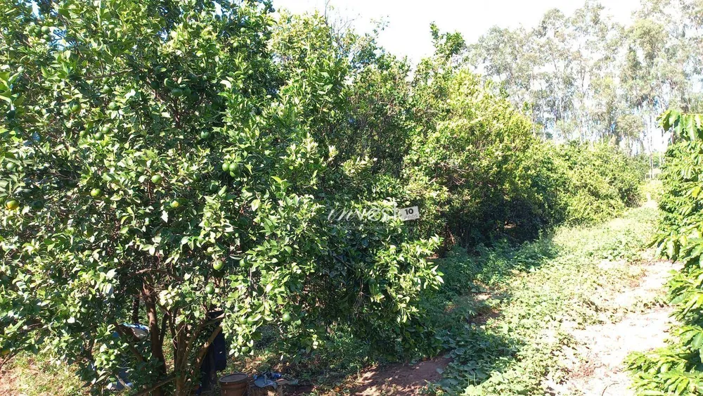 Chácara, 1 quarto, 5800 m² - Foto 11