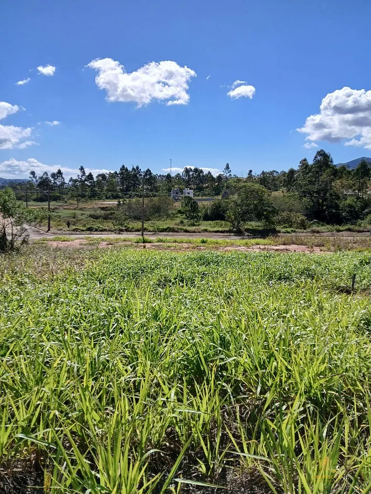 Terreno, 390 m² - Foto 7