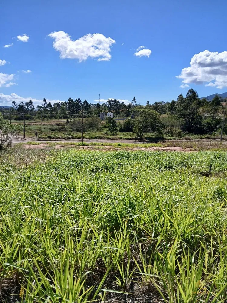 Terreno, 360 m² - Foto 9