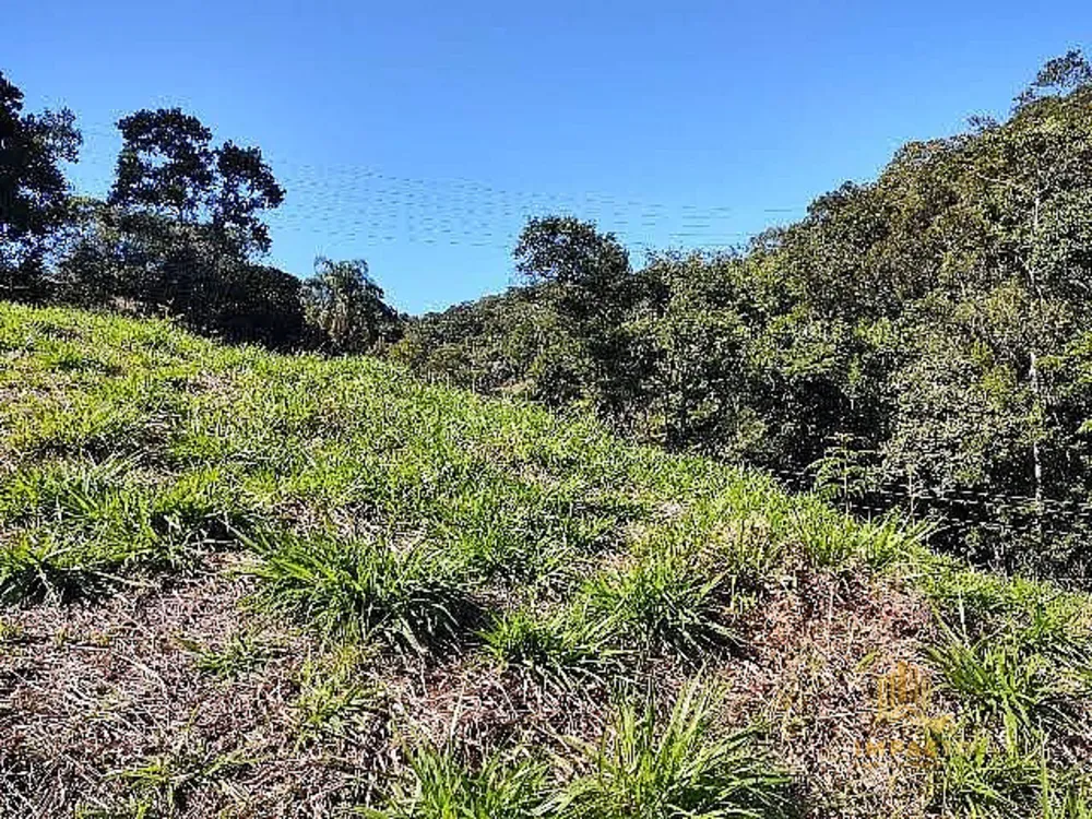 Terreno, 2 hectares - Foto 1